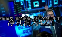 海特高新：预计2024年上半年净利润为4221